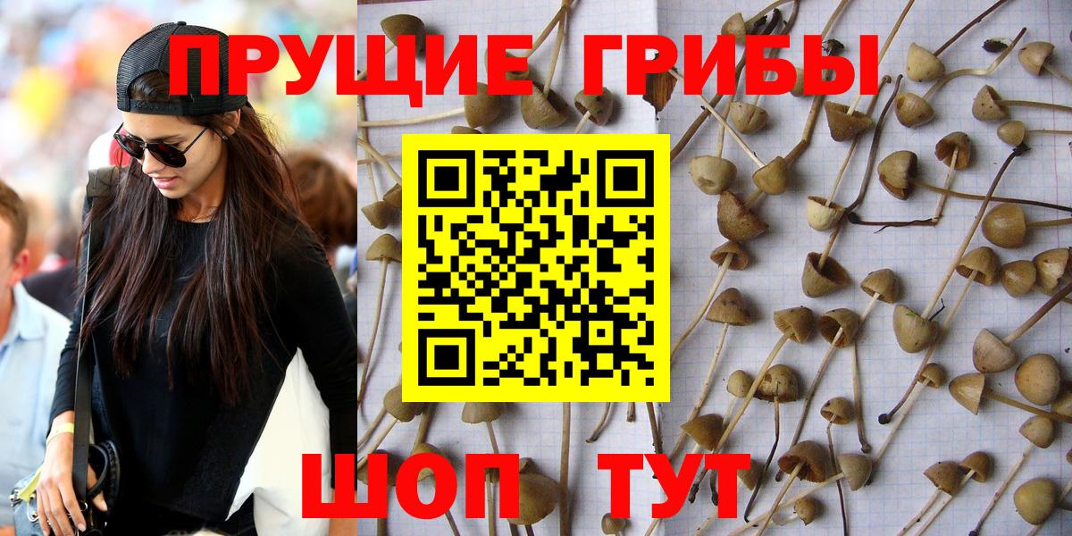 Галлюциногенные грибы мухоморы Новокузнецк