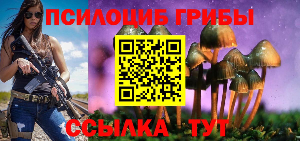 Галлюциногенные грибы ЛСД  Вход с VPN  Новокузнецк  Галлюциногенные грибы Psilocybine cubensis 